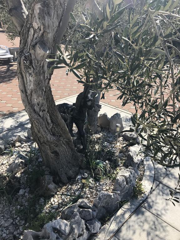 Casa Dolcevita Šibenik Exterior foto